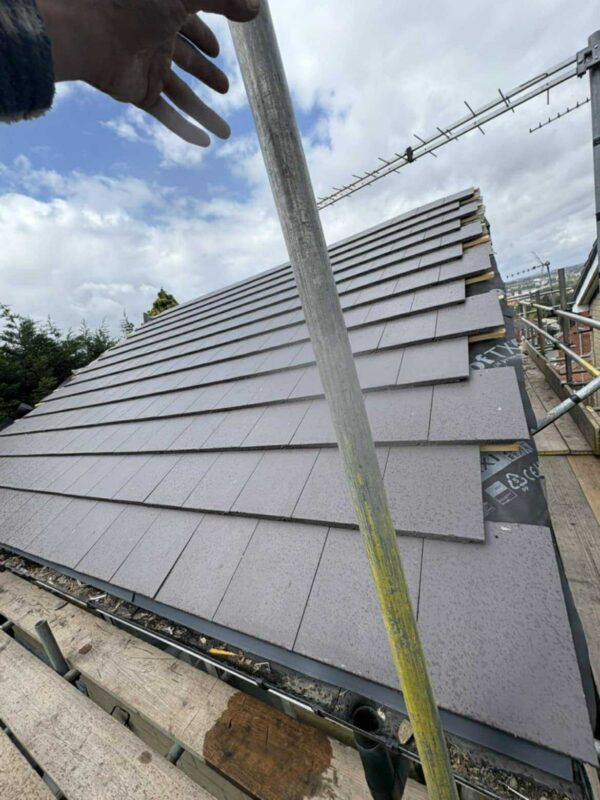 598688941_1256639726358431_9100974986177717804_n