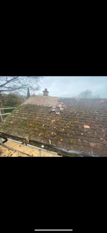 609791123_1233888098657864_145664256127523490_n