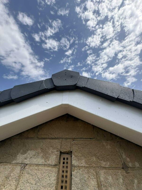 612322820_1558811485201360_2809242016495385744_n