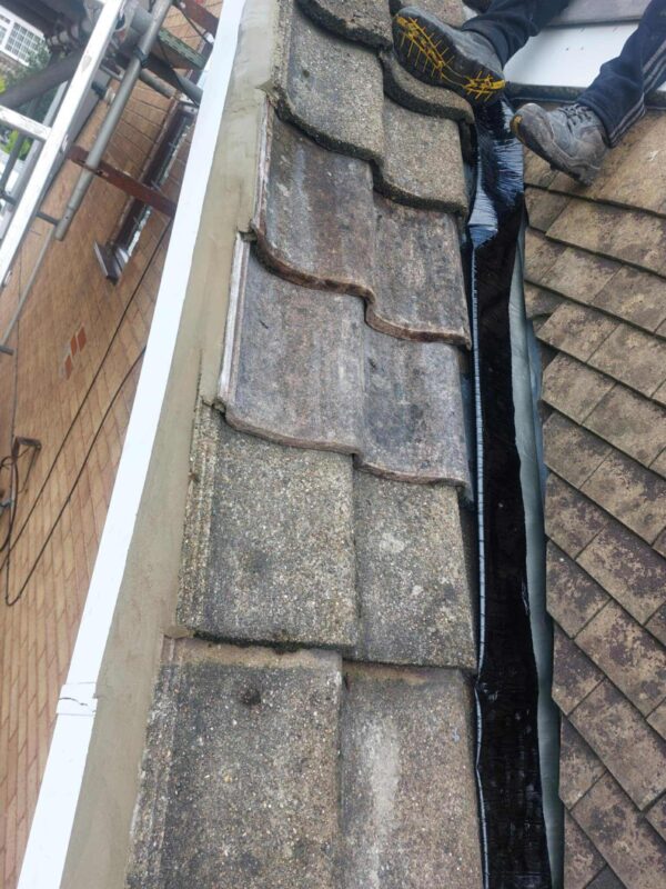 613529847_1423551629403118_2494501598098627591_n